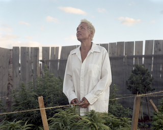 Yvonne, Marijuana farmer, USA, 2014